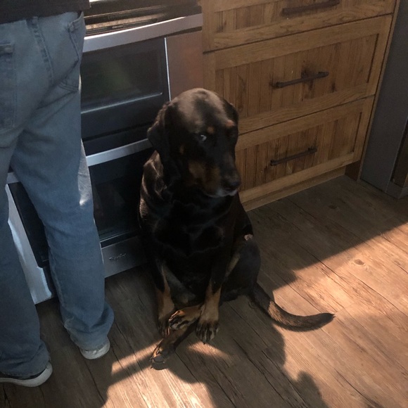 Meet your Posher, Jess - Picture 1 of 1